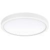 AL149 LED Ceiling Light