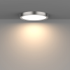 AL149 LED Ceiling Light