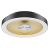 AL173 LED Ceiling Light