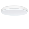 AL87 LED Ceiling Light