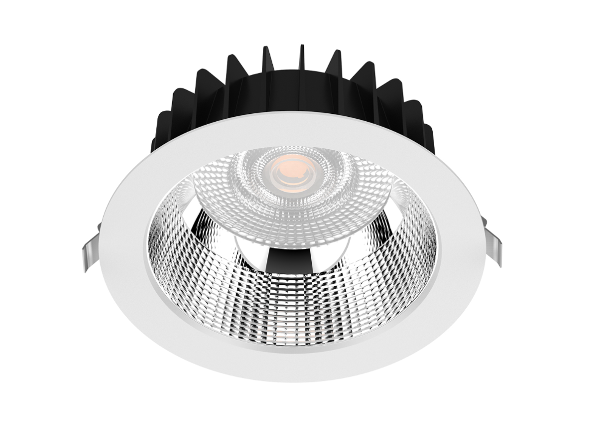 DL178 LED Downlight